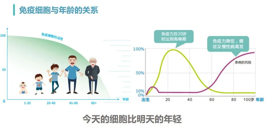 NK細胞與年齡的關系 NK細胞與年齡的關系