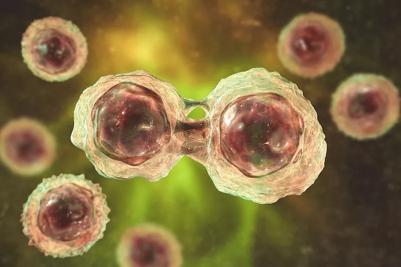 間充質干細胞治療疾病的作用機制
