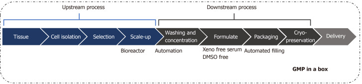 圖1：治療性細胞制造加工的工作流程。