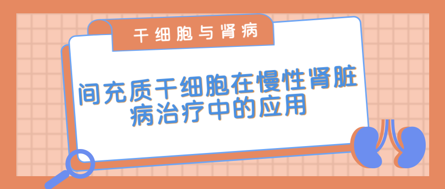 間充質干細胞在治療慢性腎臟病中的應用 間充質干細胞在治療慢性腎臟病中的應用