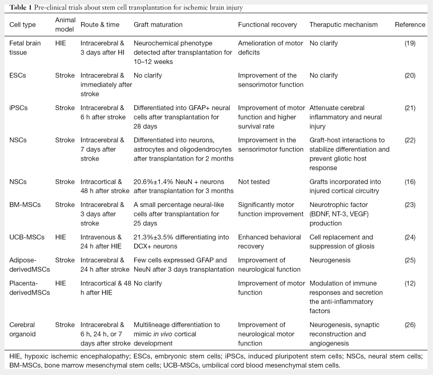 表1:干細胞移植治療缺血性腦損傷的臨床前試驗 表1:干細胞移植治療缺血性腦損傷的臨床前試驗