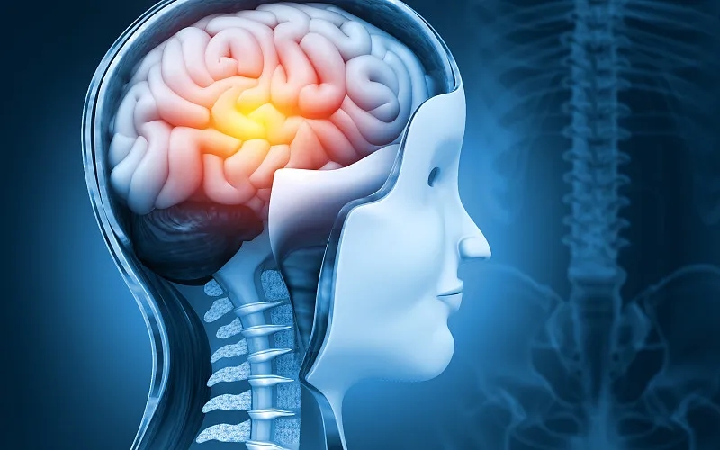 干細胞療法和大腦神經系統疾?。赫嫦嗍鞘裁?？