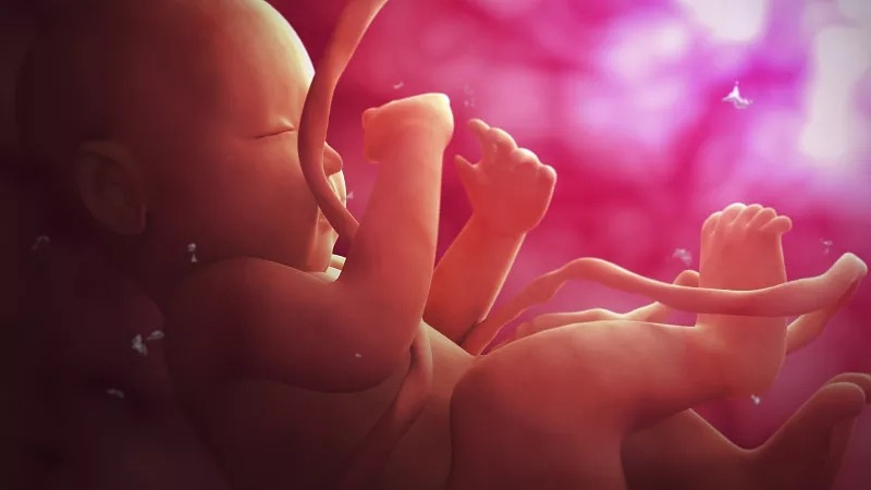 臍帶間充質(zhì)干細胞的作用和功效是什么？在哪些疾病具有臨床應用價值？