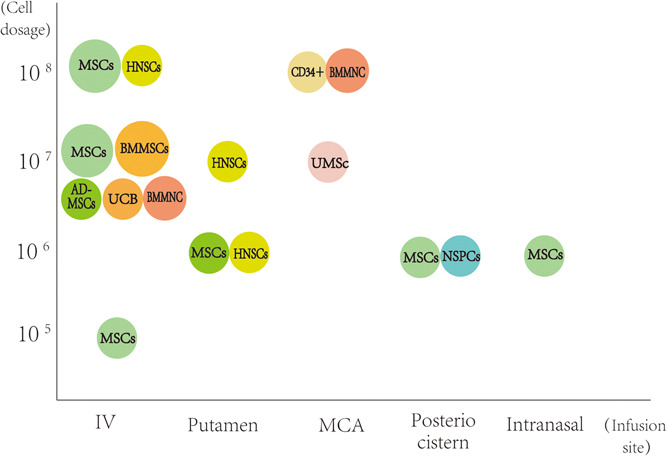 圖1：臨床試驗中細胞類型、劑量和輸注部位之間關系的可視化