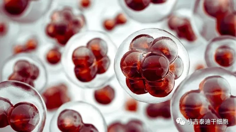 手足徐動(dòng)性腦癱的最新治療方法是什么？