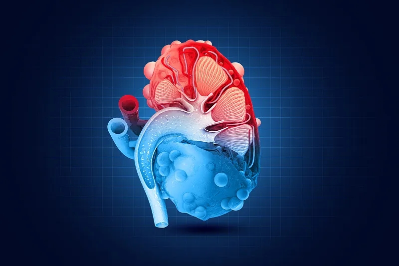 間充質干細胞治療腎臟疾病克服這四大挑戰丨將迎來新的曙光