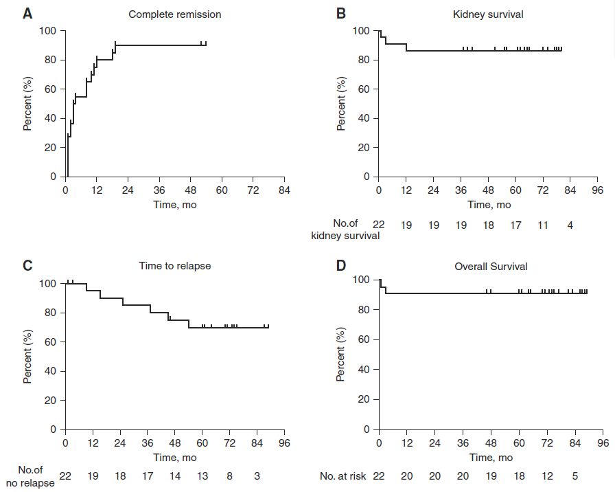 圖4：隊(duì)列中患者的完全緩解概率、腎臟存活率、復(fù)發(fā)時(shí)間和總體存活率。