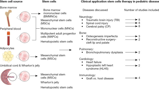 圖1:干細胞的來源和干細胞治療的臨床應(yīng)用。 圖1:干細胞的來源和干細胞治療的臨床應(yīng)用。