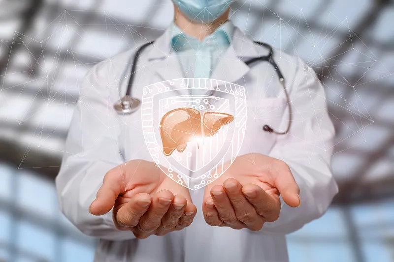 間充質(zhì)干細胞治療肝病:現(xiàn)狀與展望 間充質(zhì)干細胞治療肝病:現(xiàn)狀與展望