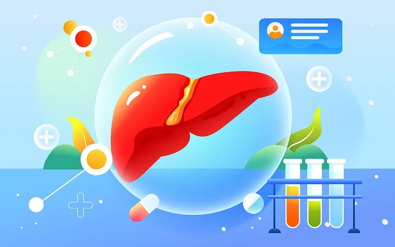 肝臟大小對(duì)我的健康有何影響? 肝臟大小對(duì)我的健康有何影響?
