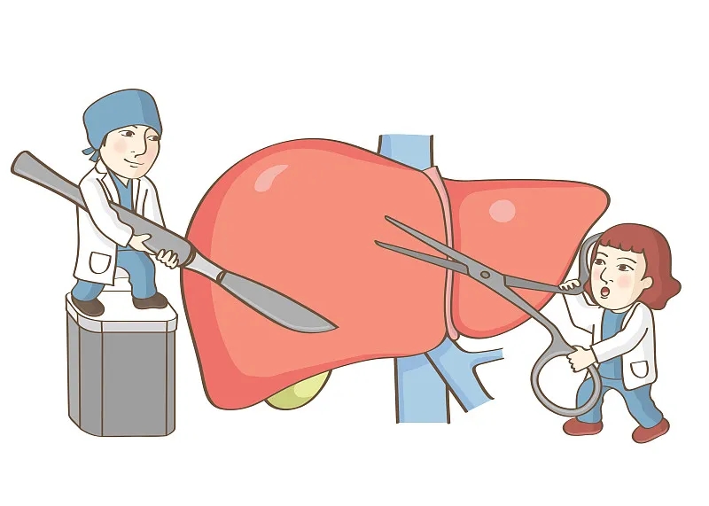 關于肝移植的事實