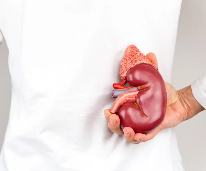 慢性腎臟病的第一階段：原因、癥狀和治療