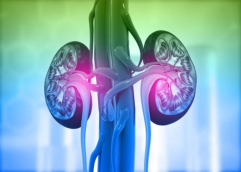 慢性腎病：癥狀-原因-危險因素