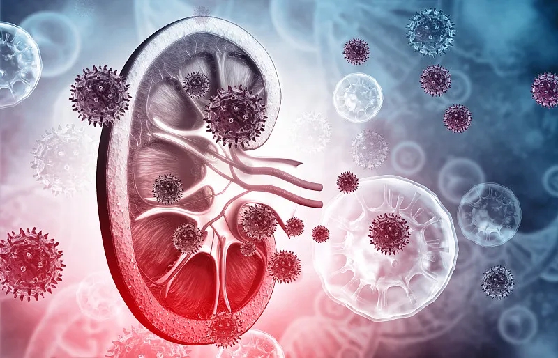 狼瘡性腎炎的體征和癥狀是什么？及其治療方法