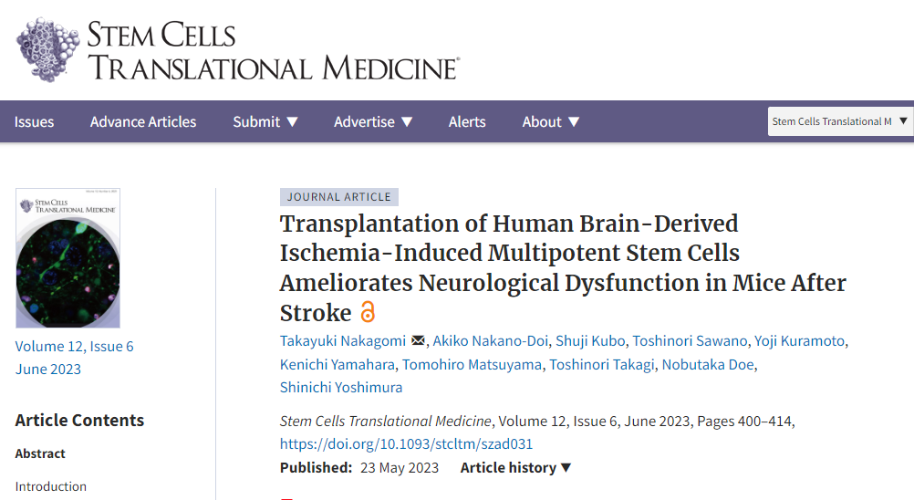 《干細胞轉換醫學》：移植人多能干細胞可改善中風后小鼠的神經功能障礙