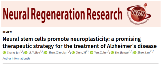 通過移植神經(jīng)干細胞來改善阿爾茨海默病小鼠的認知缺陷和海馬突觸的丟失 通過移植神經(jīng)干細胞來改善阿爾茨海默病小鼠的認知缺陷和海馬突觸的丟失
