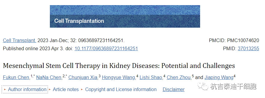 細胞移植：間充質干細胞治療腎臟疾病的潛力和挑戰