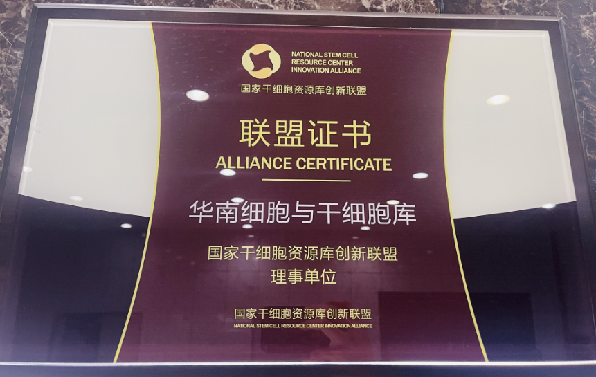 國(guó)家干細(xì)胞資源庫(kù)創(chuàng)新聯(lián)盟,干細(xì)胞與再生醫(yī)學(xué)協(xié)同創(chuàng)新平臺(tái)增至14家單位 國(guó)家干細(xì)胞資源庫(kù)創(chuàng)新聯(lián)盟,干細(xì)胞與再生醫(yī)學(xué)協(xié)同創(chuàng)新平臺(tái)增至14家單位
