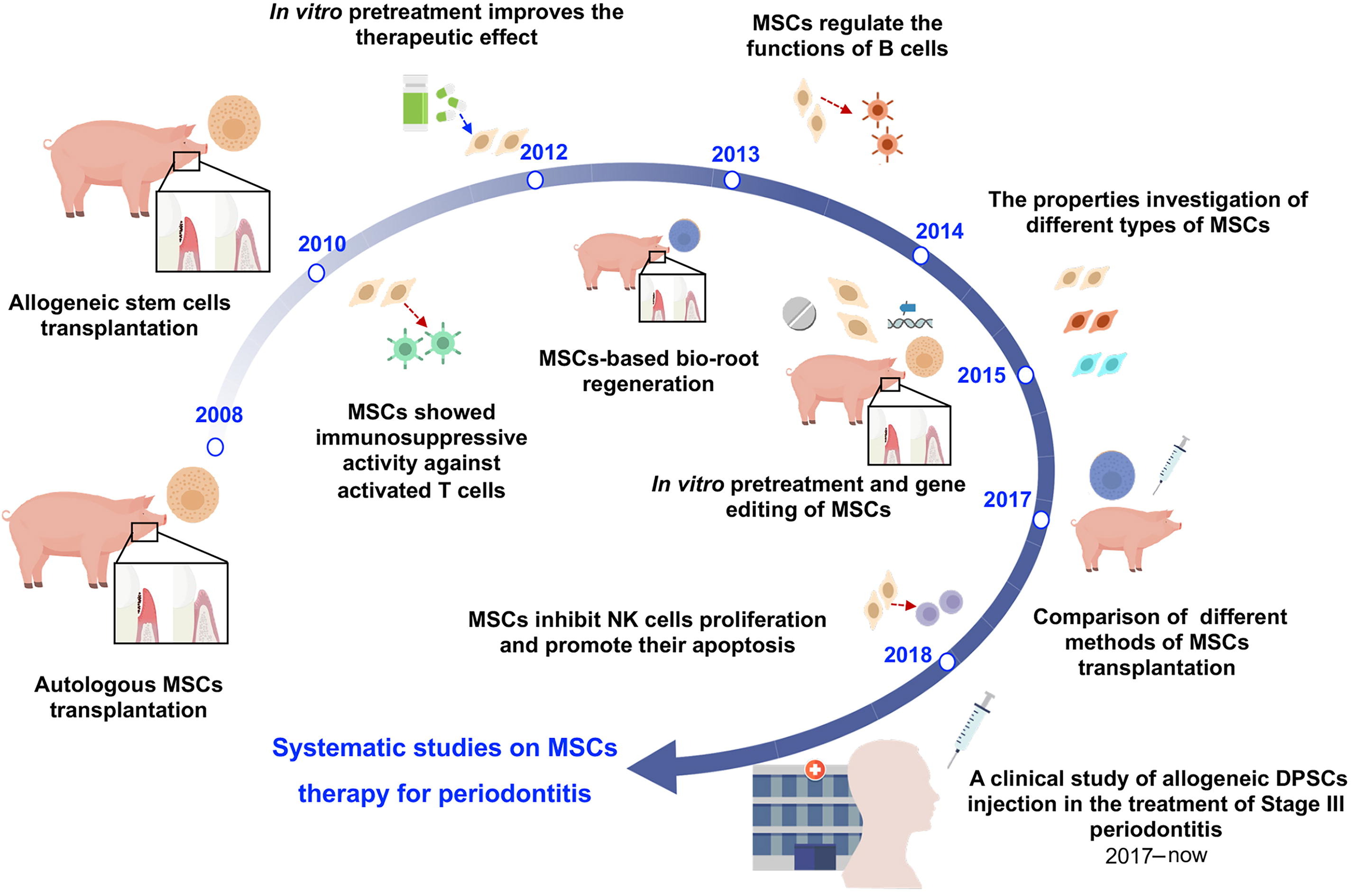 圖1：中國(guó)開發(fā)治療牙周炎的間充質(zhì)干細(xì)胞藥物示意圖