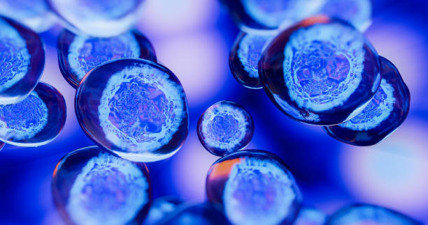 人間充質(zhì)干細(xì)胞藥物的開發(fā)及臨床應(yīng)用