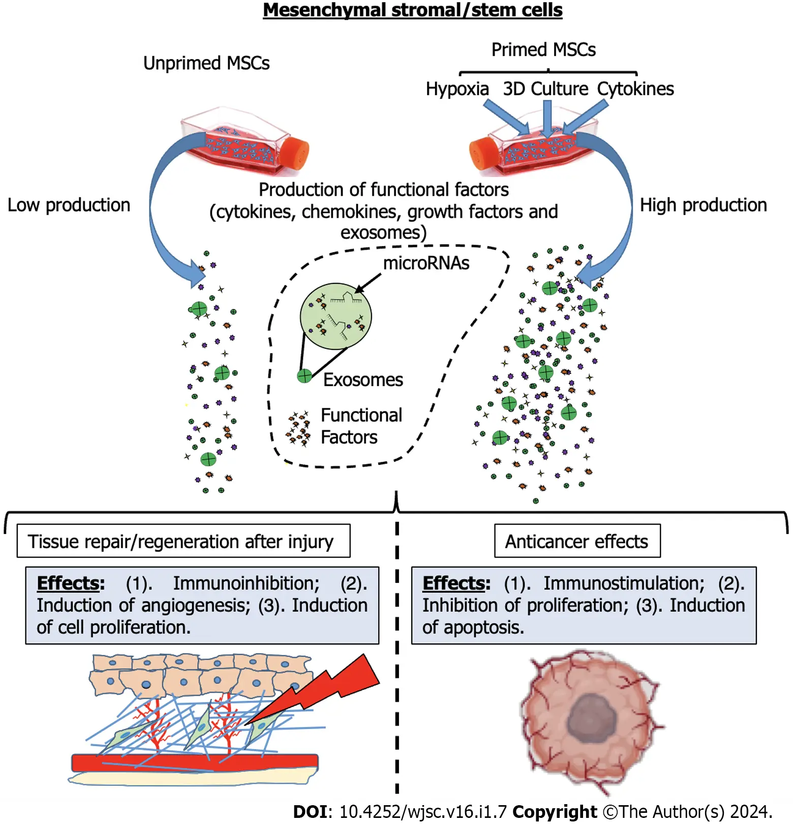 圖1：間充質(zhì)基質(zhì)/干細胞啟動后增強的治療效果的示意圖