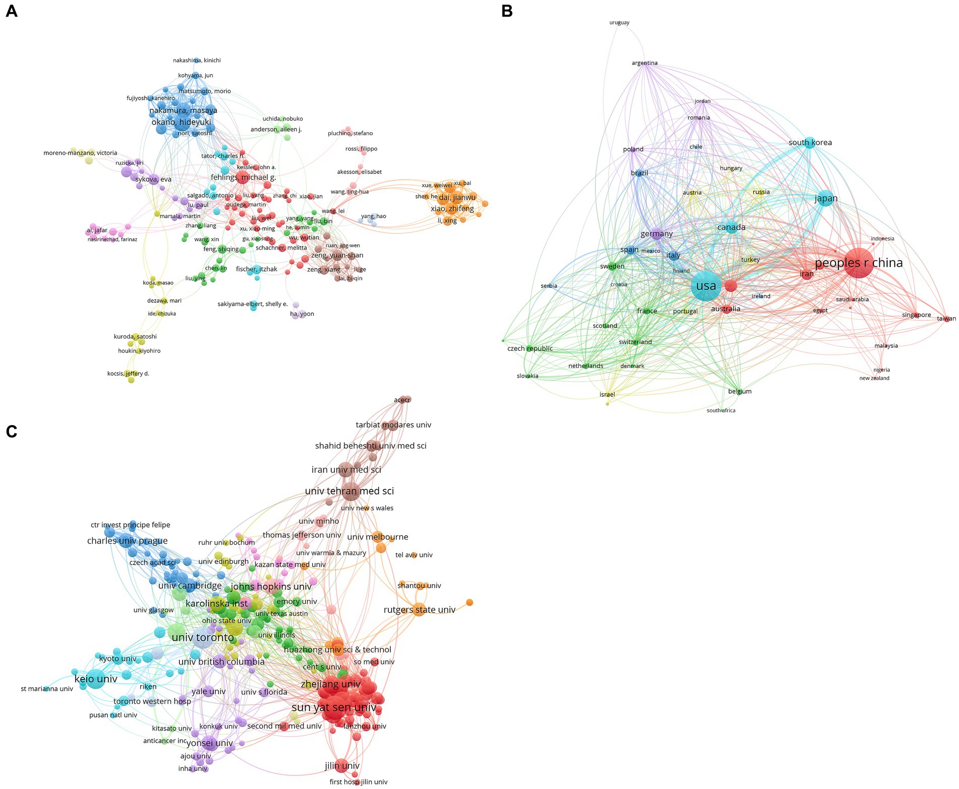 圖4：干細(xì)胞治療脊髓損傷研究的合著者分析。