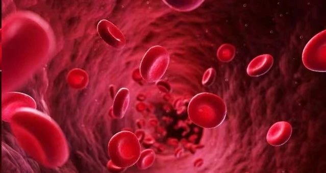 我國干細胞療法未來可期