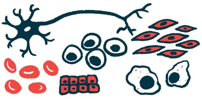 帕金森病今日新聞:胚胎干細(xì)胞移植在12名患者中顯示出安全性 帕金森病今日新聞:胚胎干細(xì)胞移植在12名患者中顯示出安全性