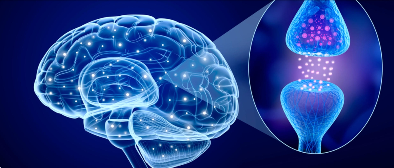 早期干細胞治療帕金森病試驗公布積極結果 早期干細胞治療帕金森病試驗公布積極結果