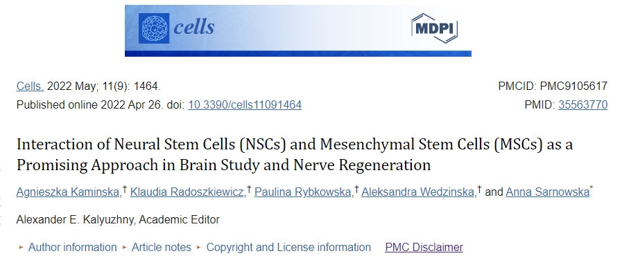 神經干細胞 (NSC) 和間充質干細胞 (MSC) 的相互作用作為大腦研究和神經再生的一種有前途的方法