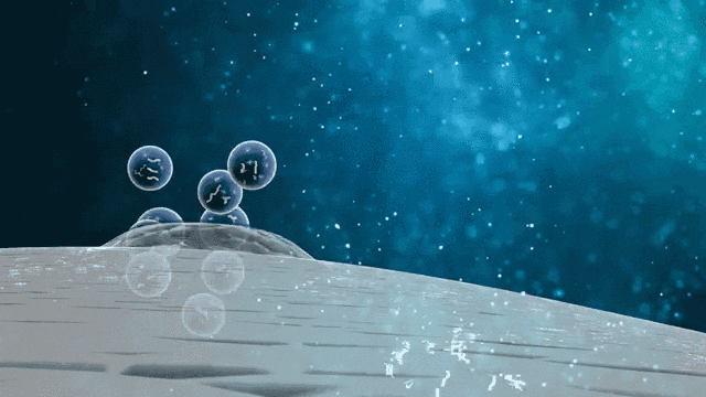 △MSCs可以通過與細胞間的相互作用,及旁分泌生物活性因子來完成機體的免疫調節(jié) △MSCs可以通過與細胞間的相互作用,及旁分泌生物活性因子來完成機體的免疫調節(jié)