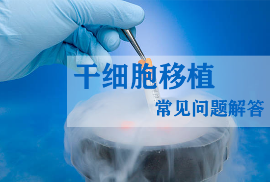 干細胞移植常見問題解答 干細胞移植常見問題解答