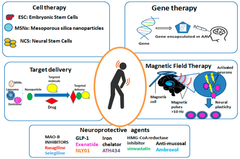 圖2：帕金森病的新療法概述。