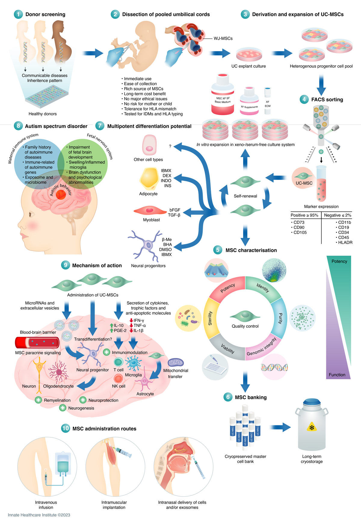干細(xì)胞采集過程是什么樣的？干細(xì)胞如何移植治療自閉癥？