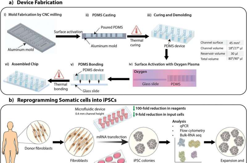 新設(shè)備改善了干細(xì)胞的生成，為阿爾茨海默氏癥細(xì)胞療法提供了機會