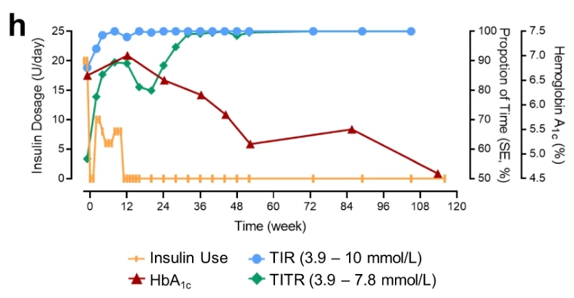 116周期間 TITR、TIR 和 HbA1c 以及胰島素劑量的臨床測量值