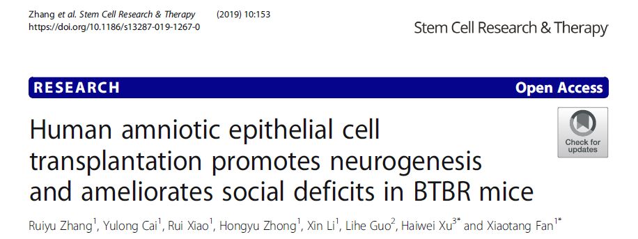 人類羊膜上皮細胞移植促進 BTBR 小鼠的神經發生并改善社交缺陷