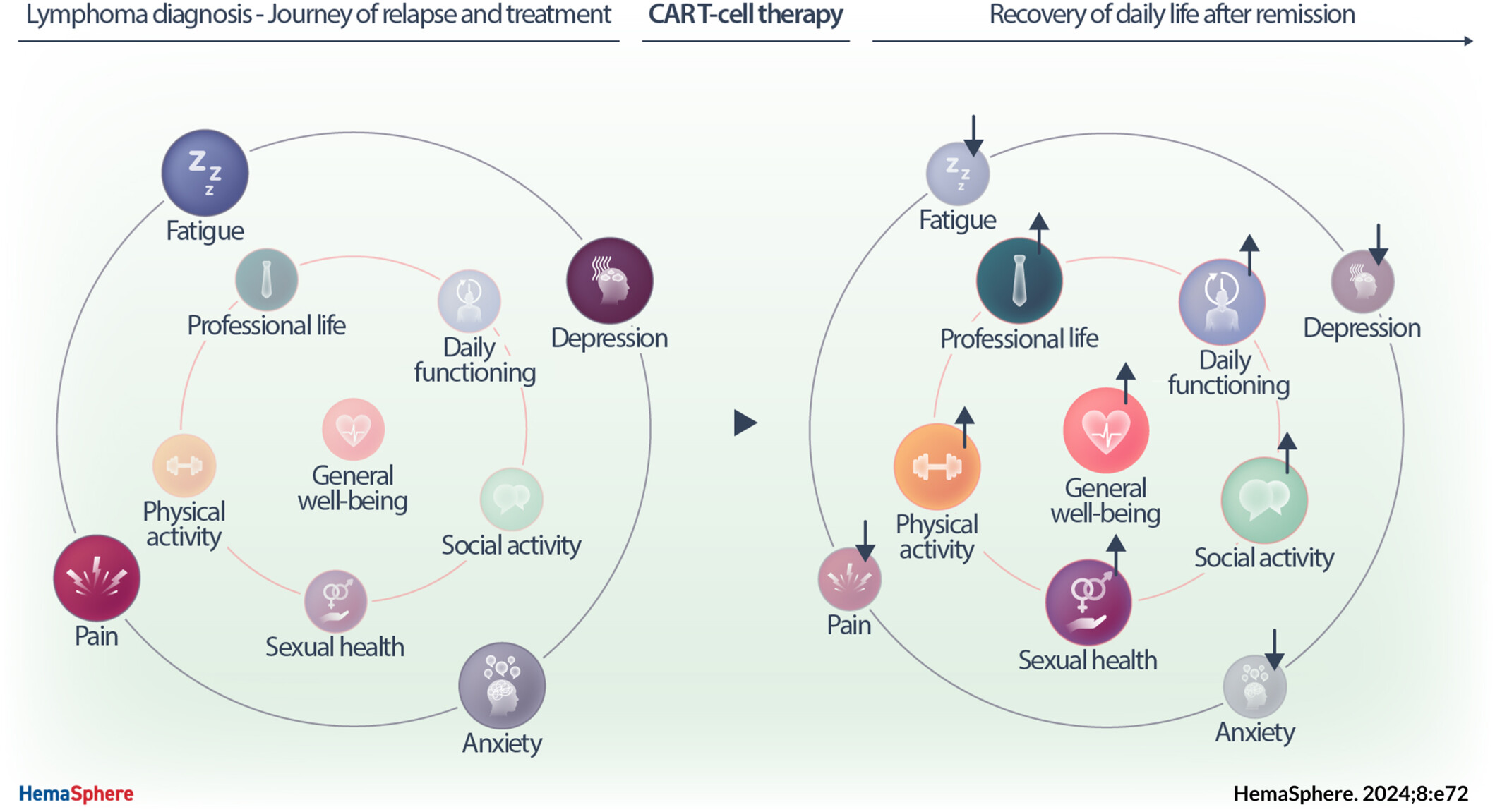 嵌合抗原受體T細(xì)胞(CAR-T細(xì)胞)療法