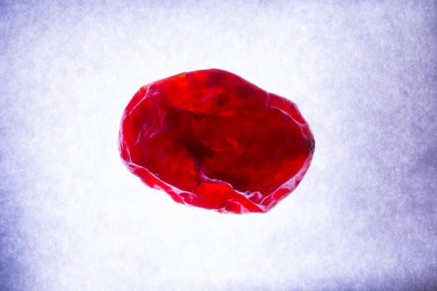 什么是血腦屏障？間充質干細胞是否具備穿過血腦屏障的能力？