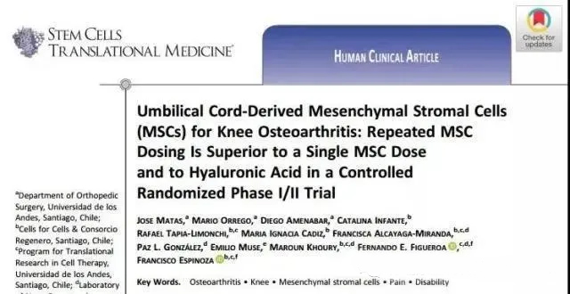 臍帶間充質基質細胞 (MSC) 治療膝骨關節炎：在一項隨機對照 I/II 期試驗中，重復 MsC 給藥優于單次 MsC 給藥和透明質酸