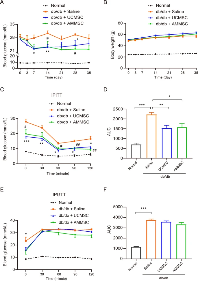 圖1：小鼠在AMMSC或UCMSC給藥后的代謝表型。