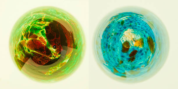 干細胞療法已成為慢性阻塞性肺病的一種潛在治療方式，有望再生受損的肺組織并恢復肺功能。