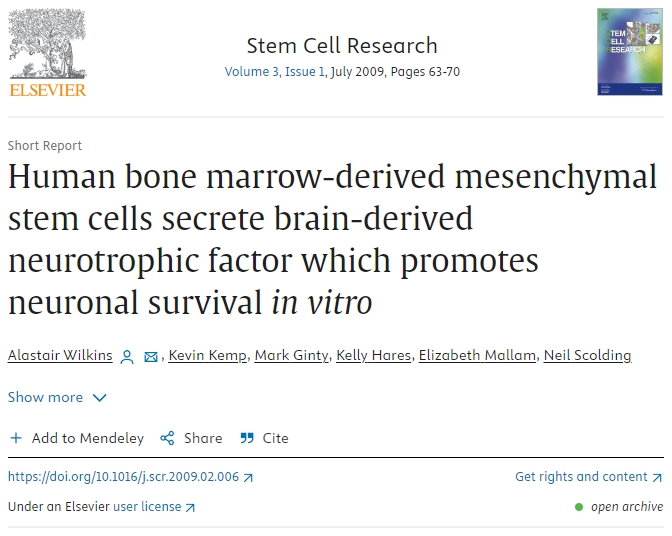人類(lèi)骨髓間充質(zhì)干細(xì)胞分泌腦源性神經(jīng)營(yíng)養(yǎng)因子,促進(jìn)體外神經(jīng)元存活 人類(lèi)骨髓間充質(zhì)干細(xì)胞分泌腦源性神經(jīng)營(yíng)養(yǎng)因子,促進(jìn)體外神經(jīng)元存活