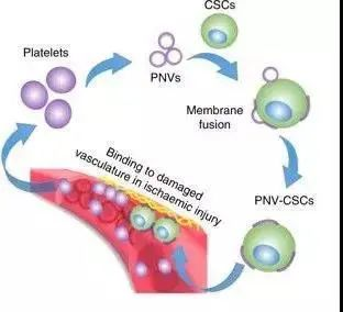 2018年干細胞治療心血管疾病臨床案例