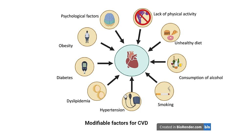 圖2：心血管疾病的可改變風險因素