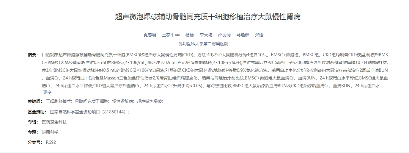 聲微泡爆破輔助骨髓間充質干細胞移植治療大鼠慢性腎病 聲微泡爆破輔助骨髓間充質干細胞移植治療大鼠慢性腎病