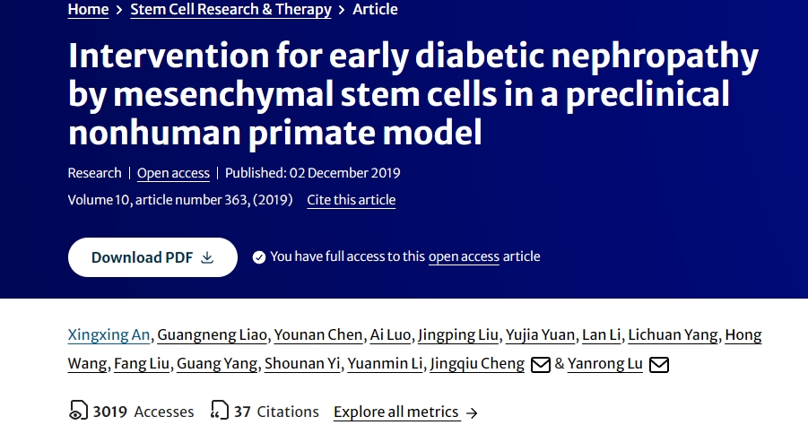 間充質(zhì)干細(xì)胞在臨床前非人類靈長類動(dòng)物模型中對(duì)早期糖尿病腎病的干預(yù)