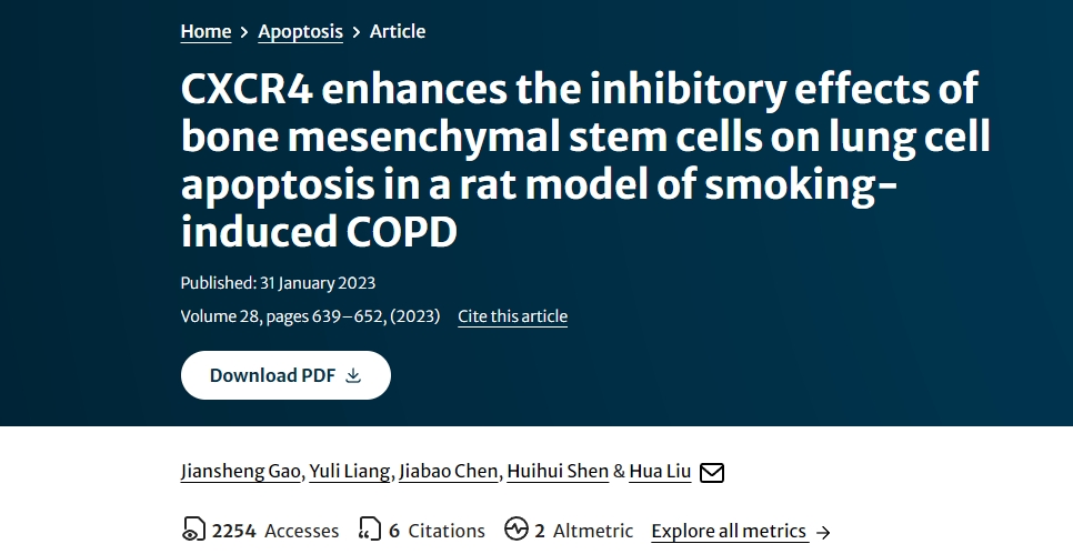 CXCR4 增強骨髓間充質干細胞對吸煙誘發(fā)的 COPD 大鼠肺細胞凋亡的抑制作用
