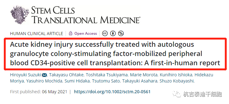 自體粒細(xì)胞集落刺激因子動(dòng)員外周血 CD34 陽(yáng)性細(xì)胞移植成功治療急性腎損傷:首次人體報(bào)告 自體粒細(xì)胞集落刺激因子動(dòng)員外周血 CD34 陽(yáng)性細(xì)胞移植成功治療急性腎損傷:首次人體報(bào)告
