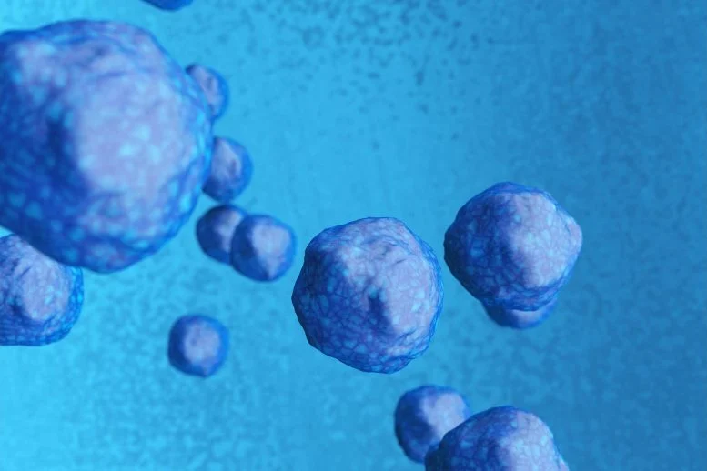 杜克大學-新加坡國立大學和MBI的科學家發現了一種激活休眠神經干細胞的途徑，通過針對星形膠質細胞和神經干細胞之間的相互作用，有可能為神經發育障礙帶來新的治療方法。